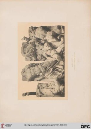 Tafel: Zeus-Gruppe