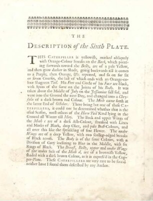 The Description of the Sixth Plate