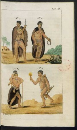 Taf. III. Fig. 1. - Fig. 4.