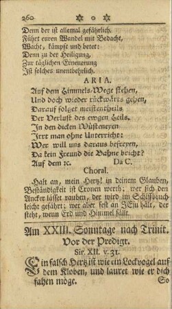 Am XXIII. Sonntage nach Trinit.
