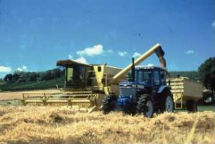 Fotografie: Erntetechnik, Mähdrescher selbstfahrend, Korntank, Be- und Entladen, Transport