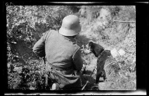 Bei Namur (Belgien): Soldat mit Stahlhelm und "mit Hund" in einem Graben (Rückansicht, Nahaufnahme)