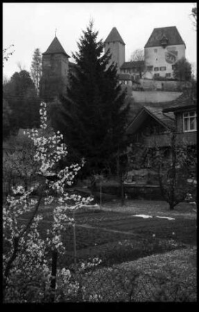 Burgdorf: Schloss mit Blütenbaum im Vordergrund