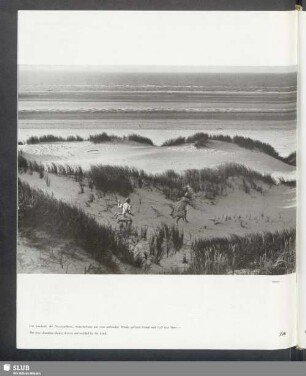 Die Insel