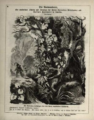 "Die Auswanderer, oder wunderbare Fahrten und Abenteuer der Herren Barnabas Wühlhuber und Casimir Heulmaier in Amerika"