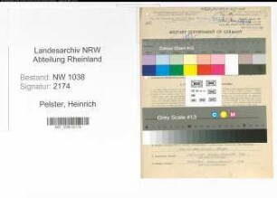 Entnazifizierung Heinrich Pelster , geb. 02.09.1906 (Angestellter)
