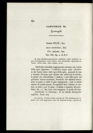 Capitolo VI.