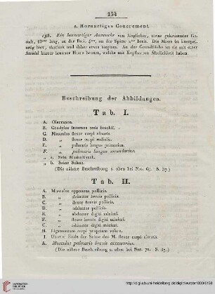 Beschreibung der Abbildungen
