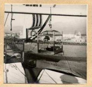 Livorno