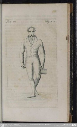 Seite 102. Fig. XVII