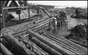 Rötenbach: großes Holzverarbeitungswerk Krebs, Holzlager