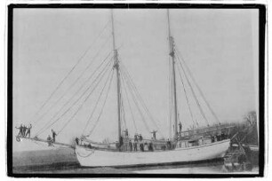 Prinz Carolath (1908), Ossenbrüggen, Haseldorf