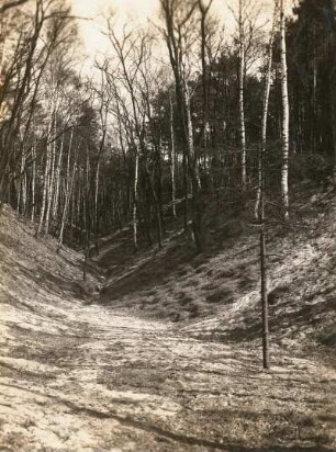 Dresden. Dresdner Heide. Prießnitzgrundweg (junge Talform)