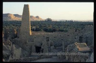 Siwa, Palaeo-Monsun Tagung