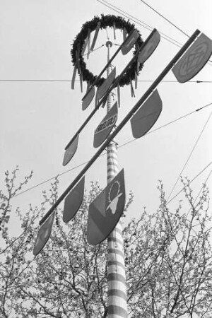 Maibaum in Mühlburg