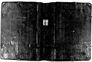 Philosophi domini Theodori Prodromi tetrasticha iambica in capita veteris testamenti - BSB Cod.graec. 551