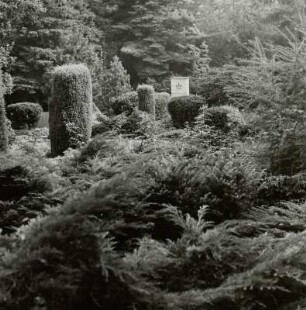 Sowjetischer Ehrenfriedhof