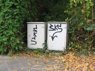 SKS