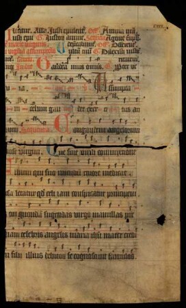 [Graduale]; virgil. assumpt. u. assumpt. BMV (14./15.8.)