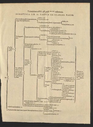 Synoptica Lib. II. Tabula Ex Clariss. Pacio