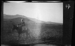 [Nador (?) (Marokko):] Einheimische Person auf einem Esel auf einem Feld
