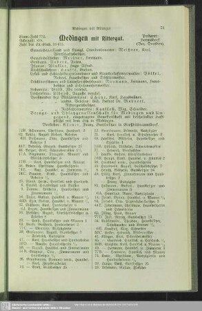 Medingen mit Rittergut