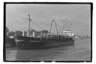 Esteflut (1973), Hauschildt, Hamburg?Pan