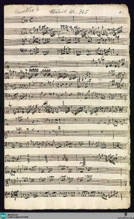 Concertino - Mus. Hs. 365 : dessus vla da gamba, vl, violetta, vlc; G; BrinzingMWV 9.13