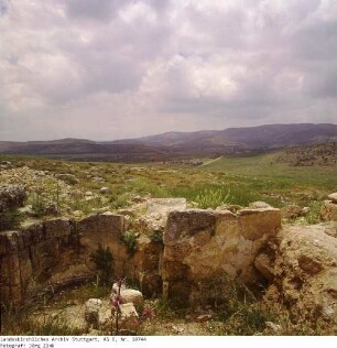 Israel: Schilo