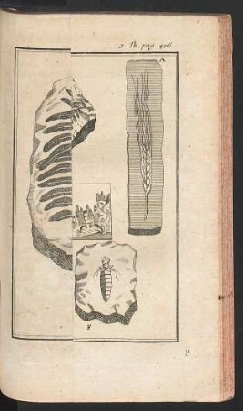 Tafel: Gebildete Steine.