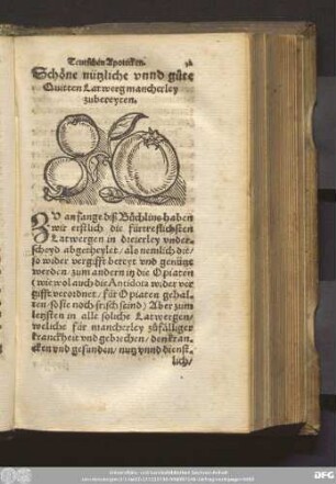 Schöne nützliche unnd gute Quitten Larwerg mancherley zubereyten.