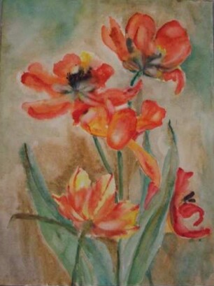 Tulpen