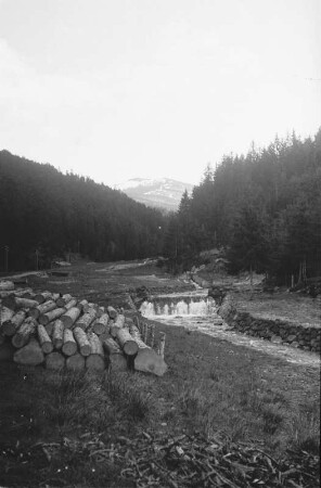 Abfluß des Kleinen Arbersees : Waldbach als Abfluss des Kleinen Arbersees