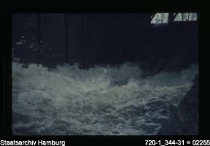 Ammersbek, Hochwasser 1956