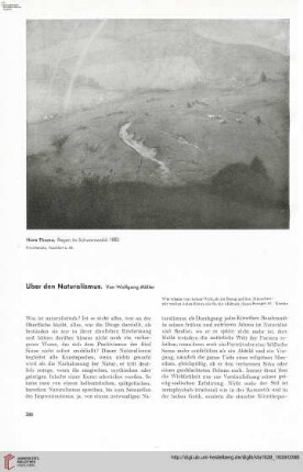 54: Über den Naturalismus