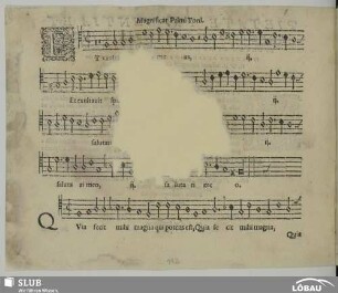 Magnificat in 1.Ton (dorisch)