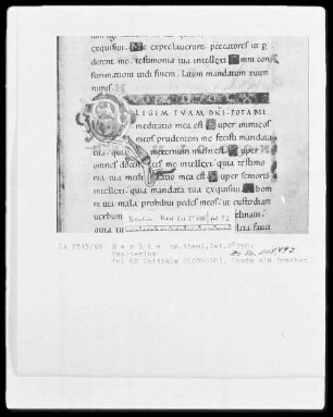 Psalter aus Werden — Initiale Q (uomodo), Folio 82recto