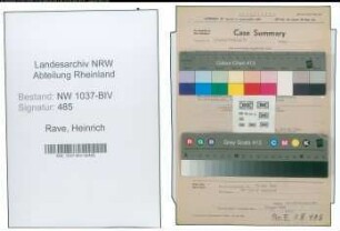 Entnazifizierung Heinrich Rave , geb. 09.02.1895 (Abt.Leiter)