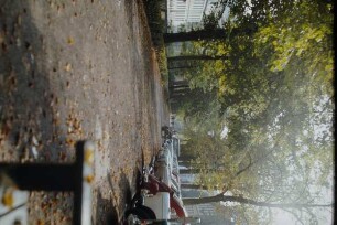 Allee, Detmold; farbig