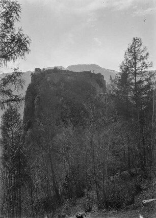 Die Burg Greifenstein : Blick über einen Wald auf den Felsen mit der Burg Greifenstein