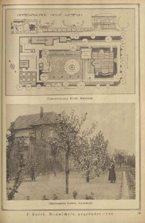 Gartenanlage Remé, Westend ; Obstgarten Lewin, Lankwitz