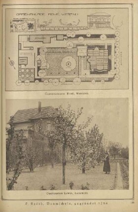 Gartenanlage Remé, Westend ; Obstgarten Lewin, Lankwitz