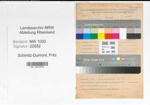 Entnazifizierung Fritz Schmitz-Dumont, geb. 24.04.1879 (Kaufmann)