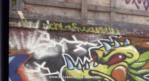 - die schlafwandler -