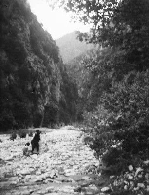 Schlucht : Blick in eine Schlucht