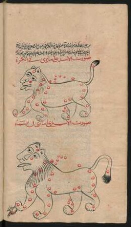 Illustration: Sternbild des Löwen
