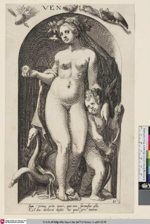Venis [Venus; Mythological Figures: Venus]