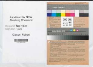 Entnazifizierung Robert Giesen, geb. 08.09.1911 (Ingenieur)