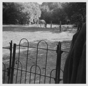Dresden. Zoologischer Garten, Freigehege