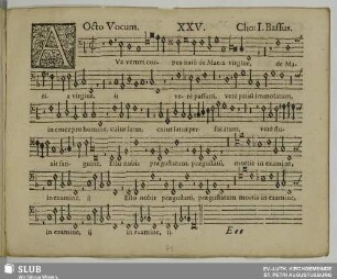 XXV. Ave verum corpus